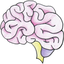 Brain Focus 1.00