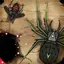 Insect.io Bug's Life Crisis 1.2