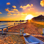 Summer Live Wallpaper 2.2