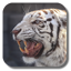 Bengal tiger live wallpaper 1.3