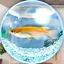 まったりメダカ育成ゲーム 2.2.0