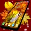 Autumn Leaves Live Wallpaper 6.10.18