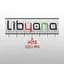 LibyanaHits-FM 1.0