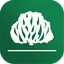 IPB 1.3.5