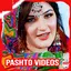 Pashto Song, Drama, Naat, Film 1.0.7