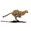 Free Pascal 3.2.2